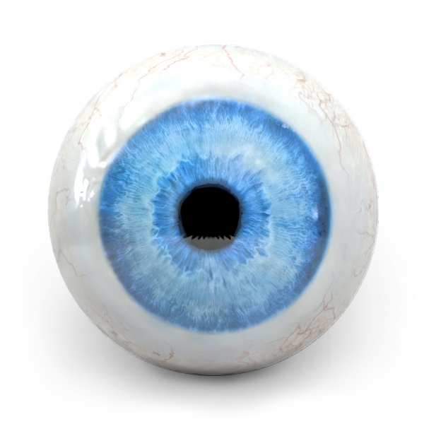 Fun - Realistic Eyeball - Funball
