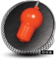 Hammer – Hammerhead